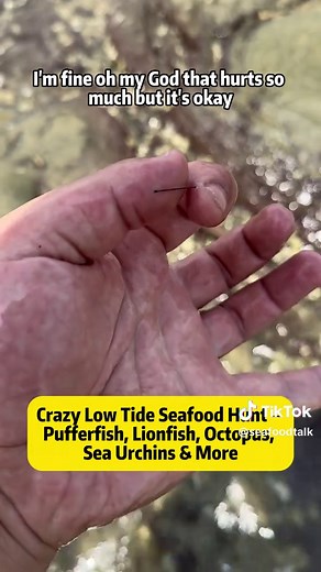 Unforgettable Low Tide Seafood Adventure