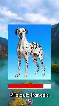 DOG BREEDS 🐶 | General Knowledge Quiz #quiz #dog #generalknowledge