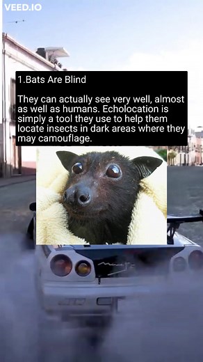 Debunking Smart-Sounding Myths: What You Need to Know