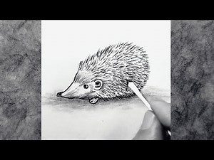 How to Draw a Hedgehog with Pencil / Step by Step Tutorial