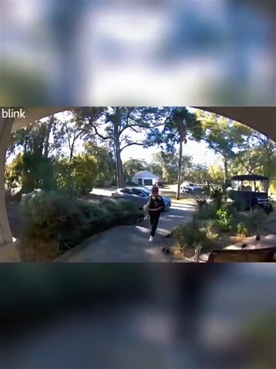 Understanding Difficult Neighbor Dynamics