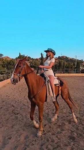 Saini Taveras on Instagram: "Dollar being a star in front of the cameras, can’t wait to see the outcome of this beautiful photoshoot with @cos_qui_llas ❤️ And huge thanks to @motohitch for letting me borrow Dollar for the evening. 🐎"
