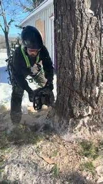 THE BEST CHAINSAW EVER! Ripsaw 500i with Sugi Hara Bar