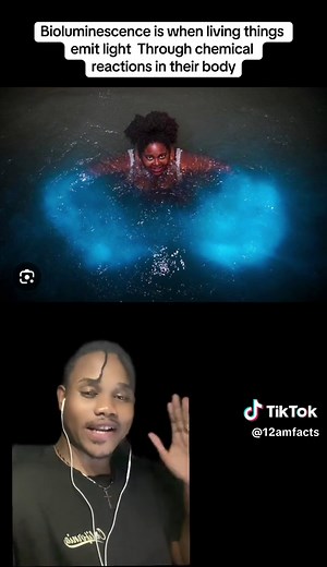 Explore the Luminous Lagoon in Trelawny, Jamaica