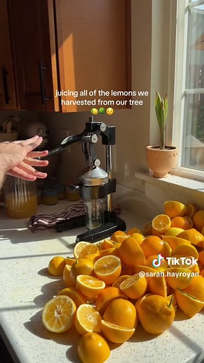 Making Homemade Lemonade with Fresh Lemons