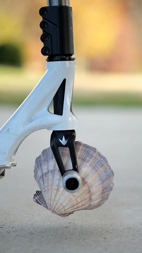 1.7M views · 4.9K reactions | Sea Shell Scooter Wheels | Jon Reyes | Facebook