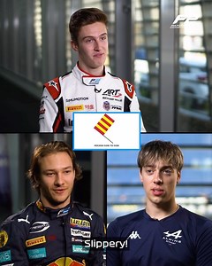 Formula 2 on Instagram: "We had zero perfect scores in our first F2 Cool For School pop quiz ❌🫢 On the plus side, small animals are now a little bit safer… 😅🙌 #F2 #RoadToF1"