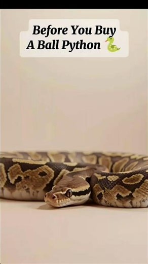 Before You Buy a 🐍 Watch this 👀 #snake #pets #ai