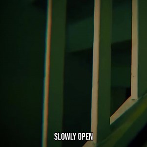 The Possession Nobody Could Explain! | The Why Files