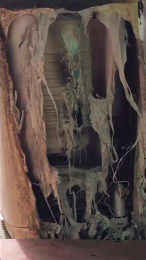 washing machine fire 🔥🔥🚒🚒