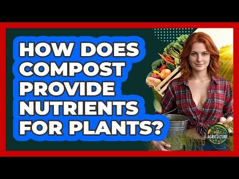How Does Compost Provide Nutrients For Plants?