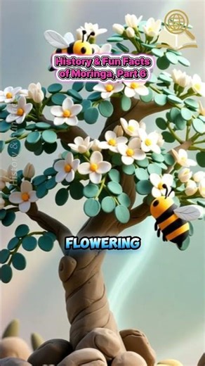 Part 6, History and Fun Facts of Moringa: The Story Behind the Miracle Tree