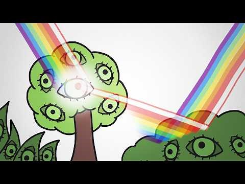 ALL Plants Have Color Vision?!