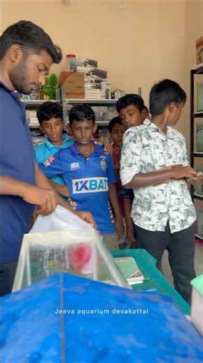 புதுசா மீன் வளக்கறவங்க இந்த தவறு செய்யாதீர்கள்😍