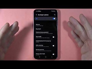 Samsung Galaxy S23: Turn On Developer Mode