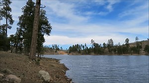 Mica Hulk Bigfoot Like Creature on Game Camera #bigfoot #Sasquatch | Rocky Mountain Sasquatch Organization
