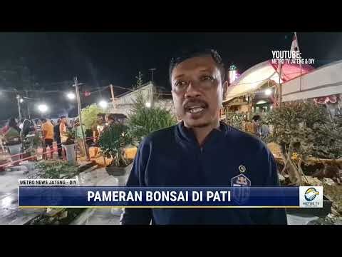 Pameran Bonsai di Pati