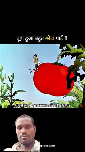 शाप v/s चूहा #funny #cartton #comedy #animation #memes