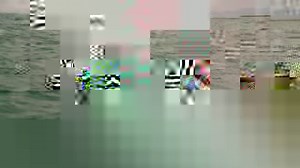 6.4K views · 44 reactions | Bringing up a baby whale is no small feat! Watch more Wild Mexico on our website - https://www.discoverychannel.com.au/title/wild-mexico | Discovery Channel Australia | Facebook