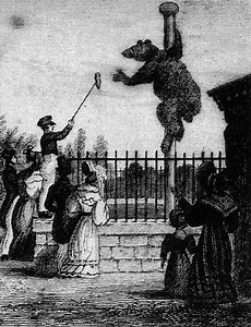 Bear pit - Alchetron, The Free Social Encyclopedia