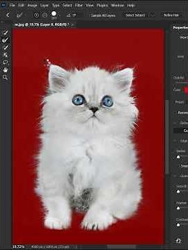 Photoshop’s ultimate method for extracting objects.