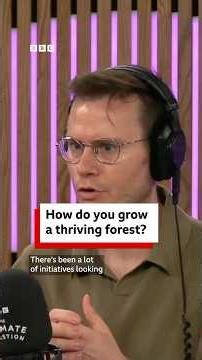 How do you grow a thriving forest? - BBC World Service #shorts