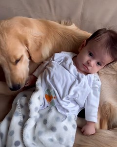 True best friends from birth 🥹❤️ | Furry Tails