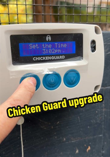 Upgrading Our Chicken Guard for Better Safety