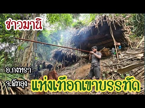 ชนเผ่ามานิ ชนเผ่าที่ยังใช้ชีวิตในป่า อยู่กินแบบเรียบง่ายหาสัตว์ หามัน หาของป่ากิน