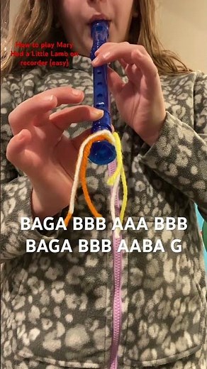 How to play Mary Had a Little Lamb on recorder (easy)