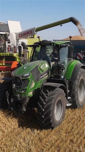 DOUBLÉ DE DEUTZ FAHR WARRIOR JAVA GREEN À LA MOISSON DE BLÉ 2026 ‼️😍 #deutz #warrior #moisson #claas