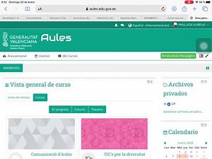 AULES Crear secciones