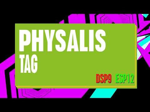 [StepMania/DDR] TAG - PHYSALIS (DSP9 & ESP12)