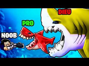 LA MEILLEURE ÉVOLUTION DE REQUINS !! 🦈 (Be a Shark)