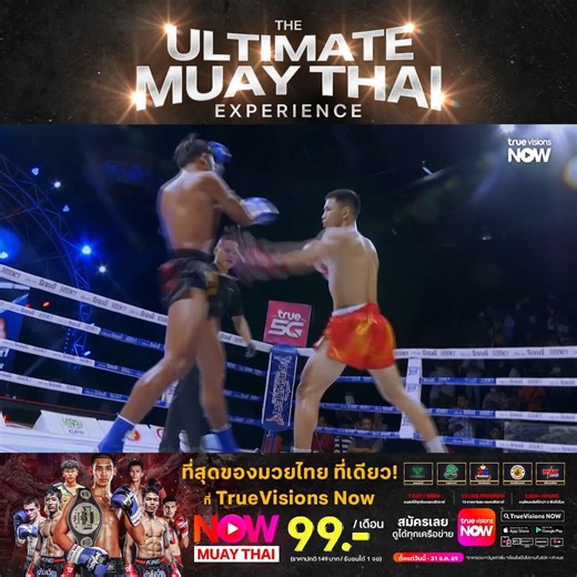 ชมสด! มวยไทย 5 โปรโมเตอร์ดังระดับแถวหน้าของประเทศ ที่สุดของมวยไทย ที่เดียว! ที่ทรูวิชั่นส์ นาว 🥊🔥 The Ultimate Muay Thai Experience ที่สุดของมวยไทย ครบ จบ ที่เดียว! ชมมวยสด ทุกวัน 7 วัน/สัปดาห์ จัดเต็ม 13 รายการสด พร้อมคลังแสงกำปั้น ดูย้อนหลังได้จุใจ มากกว่า 2,000 ชั่วโมง 📲สมัครและดูได้แล้ววันนี้ Now Muay Thai 99 บาท/เดือน (1 จอ ดูได้ทุกอุปกรณ์) คลิก : https://tvs-now.onelink.me/QYYp/2zbqd3b0 - สามารถชำระเงินได้ผ่านบัตรเครดิต,ทรูมันนี่ วอลเล็ท และบิลทรู - ดูได้พร้อมกัน 1 จอ (ล็อกอินได้ 10 อุป