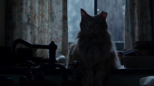 Watch 'Get out! Prim is gone! Prim is gone! She's dead! And she's not coming back! Get out! Get...' | The Hunger Games: Mockingjay   Part 2 Clip