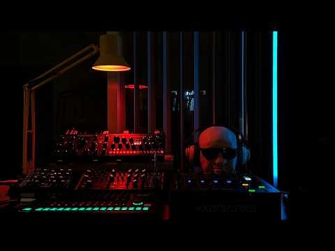 Live Improvised Hardware Techno - Moog Quadrantid Swarm Erica Synths Metal Fetishist TR-8S Xone PX5