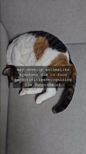 Feline Asthma Understanding the Importance of Abiding by Your Cats NeedsAs a cat parent...