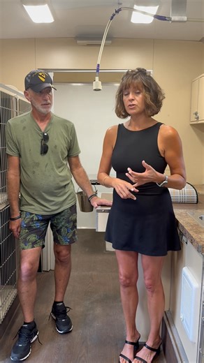 2K views · 76 reactions | We are excited to announce our new mobile clinic and for more info on how to advertise on our mobile clinic as we will be very present out about in our local communities .. go to HuskyHouse.org#huskyhousenj #huskyrescue #husky #adoptdontshop #huskylife #huskylove #saveadog | Husky House | Facebook