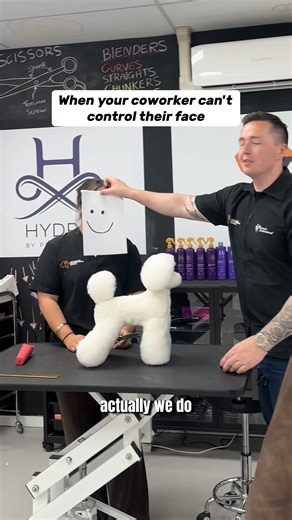 Australian Dog Grooming School MELBOURNE on Instagram: "When you realise they don’t know you’re standing inside a dog grooming school 💀🐾 Anyway👉 Learn dog grooming with ADGS (link in bio) #australiandoggroomingschool #funnyvideos #doggroomingschool #doggrooming #doggroomerlife #doggroomer #funnyreels"