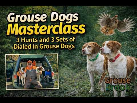Grouse Dogs Masterclass - 3 Hunts and 3 sets of Dialed in Grouse Dogs
