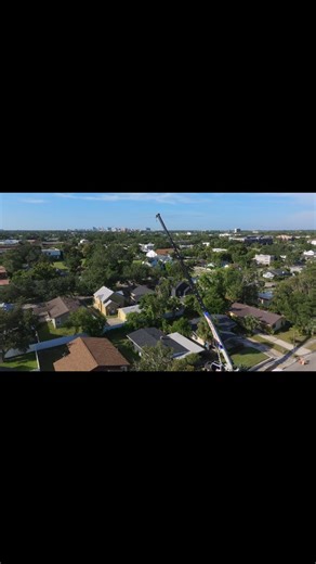 Local tree trimming job in Winter Park (Orlando area), FL, using a crane. #treeclimber #craneclimber #treework #debrisremoval #yardcleanup | Timber Trimmers Tree Services LLC