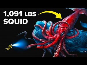 Why Antarctic Oceans Turn Normal Creatures Into Monsters