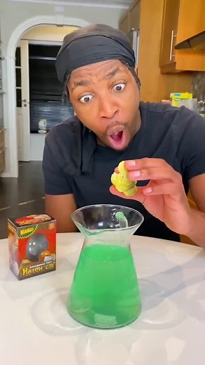 It finally hatched.. 😳🦖 @doctorsango #experiment #learnontiktok #dinosaur