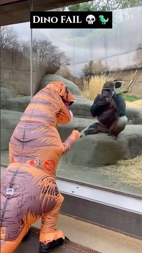 Dinosaur Tries to Scare Gorilla… FAILS 😂🦖🦍
