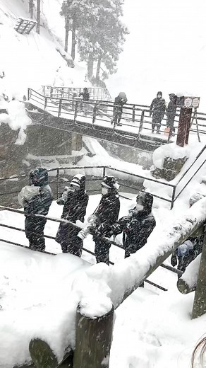 長野観光と温泉体験！猛吹雪の中で楽しむ