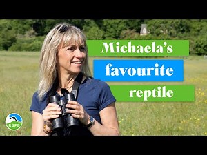 A chat with BBC Springwatch's Michaela Strachan at RSPB Arne