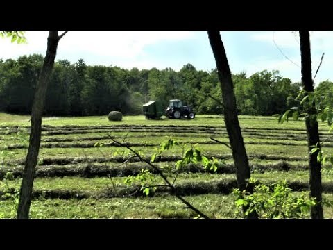 Raking and Round Baling Hay | 2020