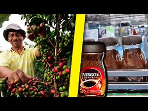 😱 How NESCAFÉ Soluble Coffee is Made ☕ How is Instant Coffee Produced?