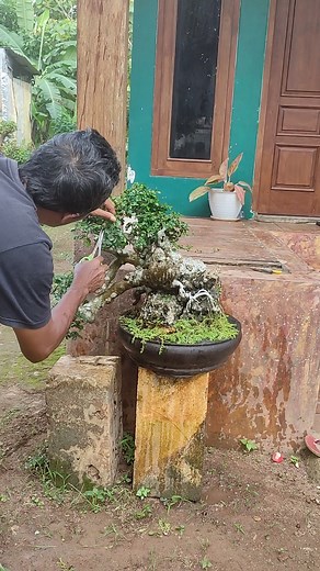 Tak gotang gotong ngalor ngidul ngetan ngulon,, Bagian 7 | Jin Kasama
